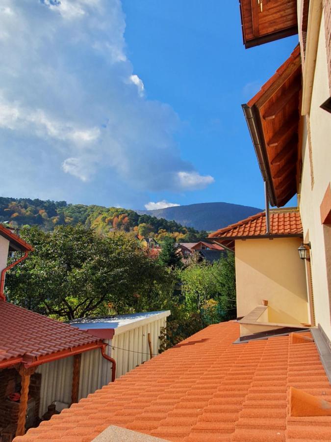 Apartament La Casa In Curte Comuna Διαμέρισμα Codlea Εξωτερικό φωτογραφία