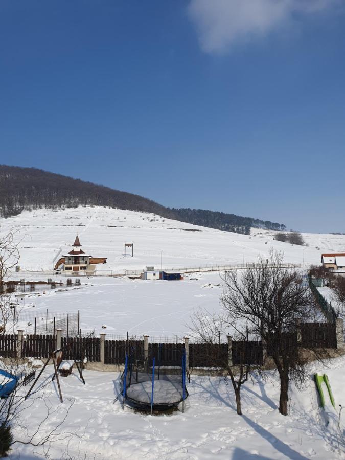 Apartament La Casa In Curte Comuna Διαμέρισμα Codlea Εξωτερικό φωτογραφία