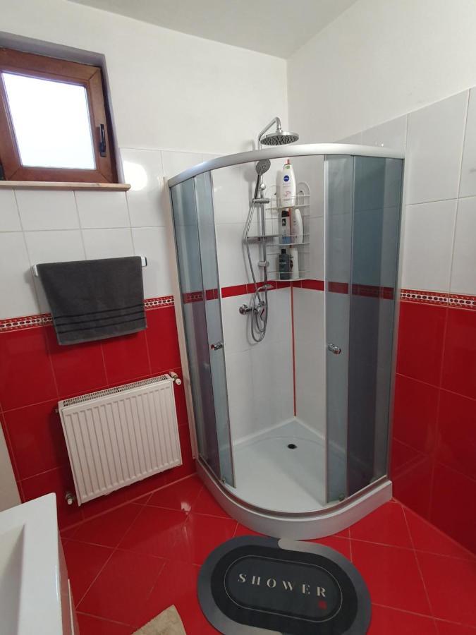 Apartament La Casa In Curte Comuna Διαμέρισμα Codlea Εξωτερικό φωτογραφία